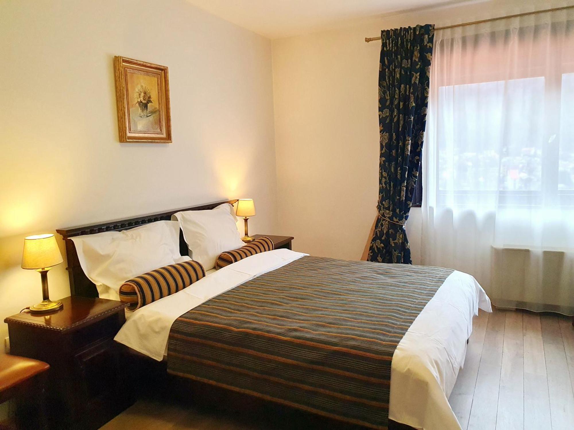 Leonida - Leonida Guest house Busteni