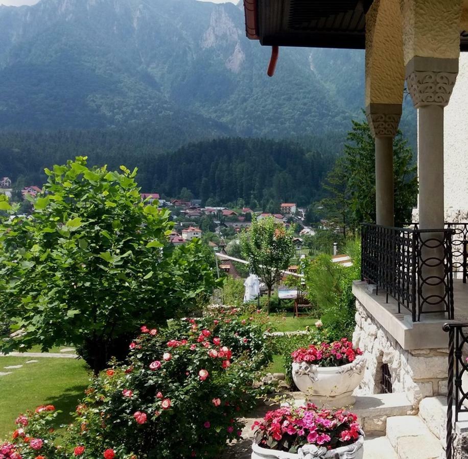 Leonida - Leonida 4* Buşteni