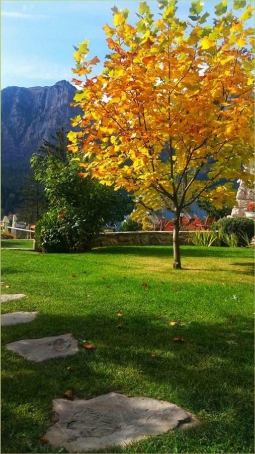 Leonida - Leonida Buşteni