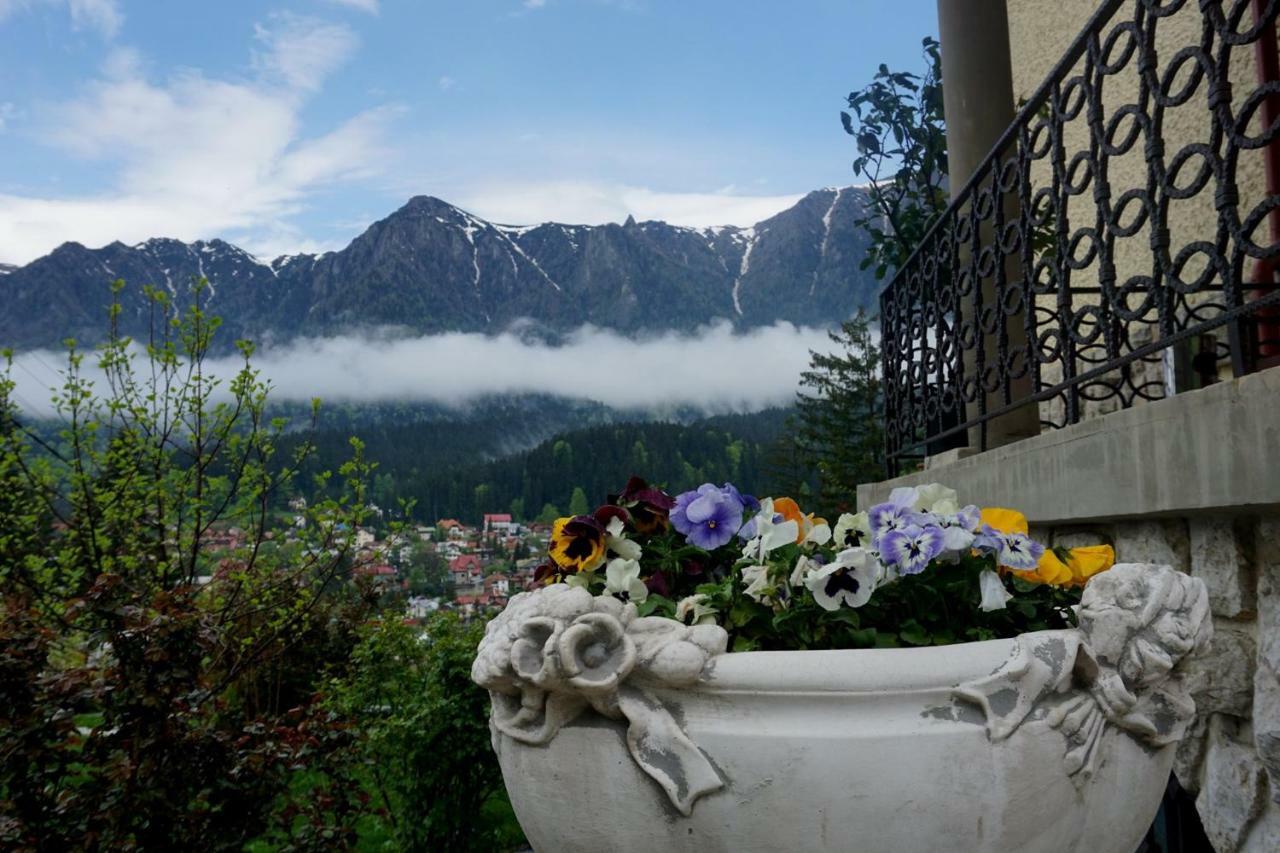 Leonida - Leonida 4* Buşteni